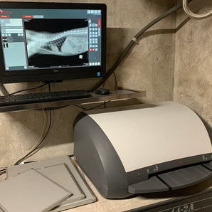 Numériseur à Cassettes CARESTREAM VITA FLEX CR System