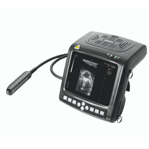 Echographe vétérinaire KX5200V