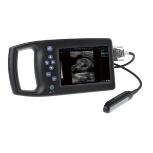 Echographe numérique complet vétérinaire A8