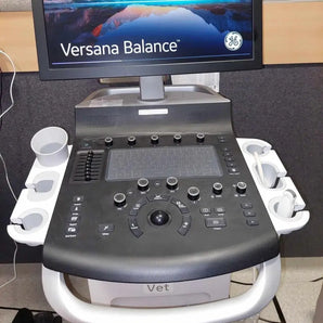Echographe GE Versana