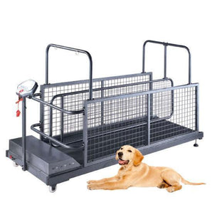 Tapis roulant vétérinaire WALEETA WT-C402W