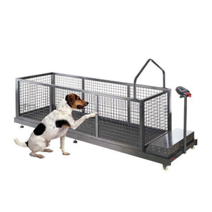 Tapis roulant vétérinaire WALEETA WT-C600WG