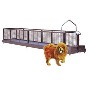 Tapis roulant vétérinaire WALEETA WT-C800W